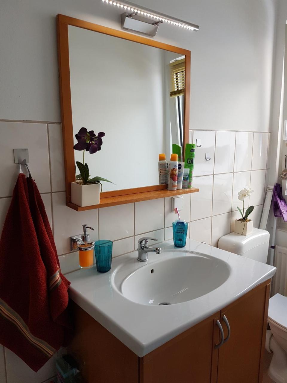 Apartment Harzzwerg Braunlage Εξωτερικό φωτογραφία